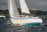 pippin lrw11 9748